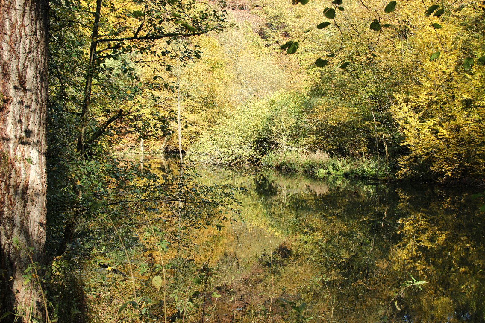 Herbst im Wilhelmstal 