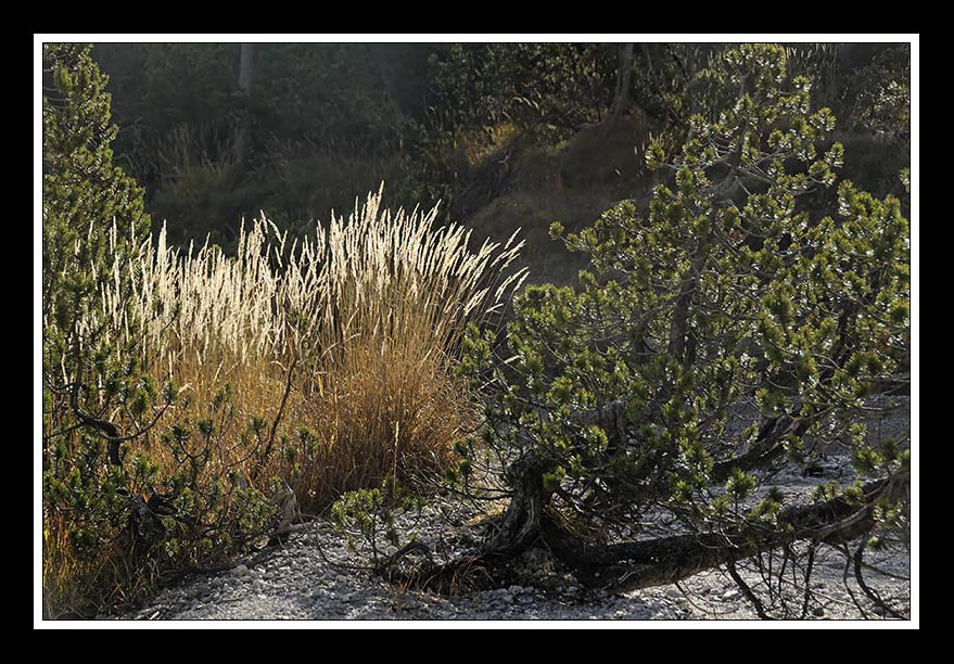 Herbst im Wimbachgries 02