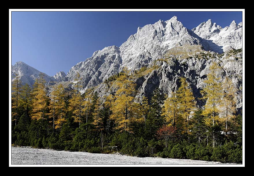 Herbst im Wimbachgries 04