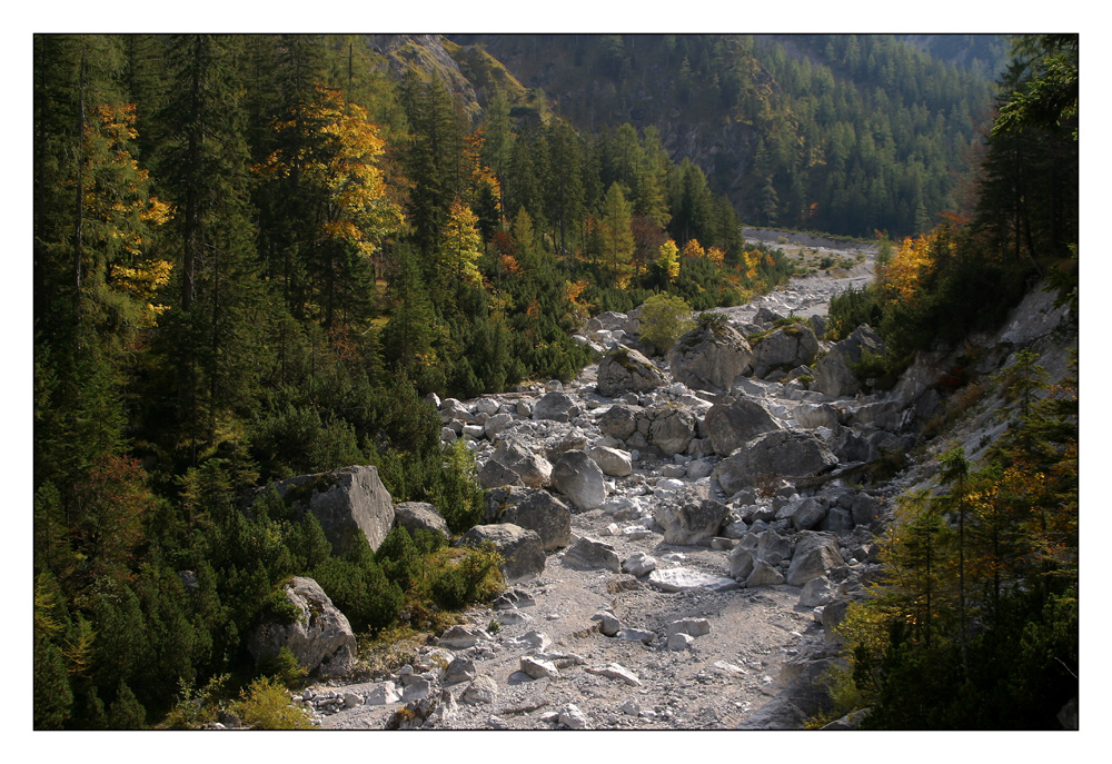 Herbst im Wimbachgries