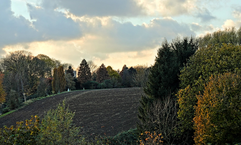 Herbst im Winkhauser Bachtal