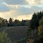 Herbst im Winkhauser Bachtal