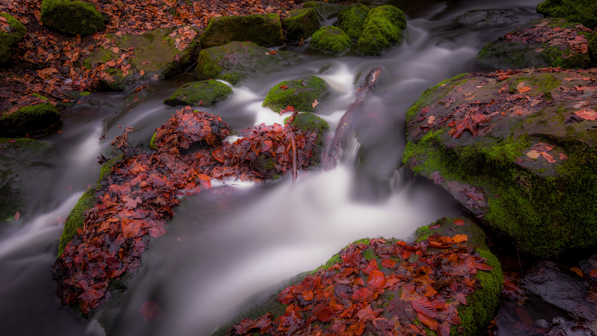 Herbst im Winter