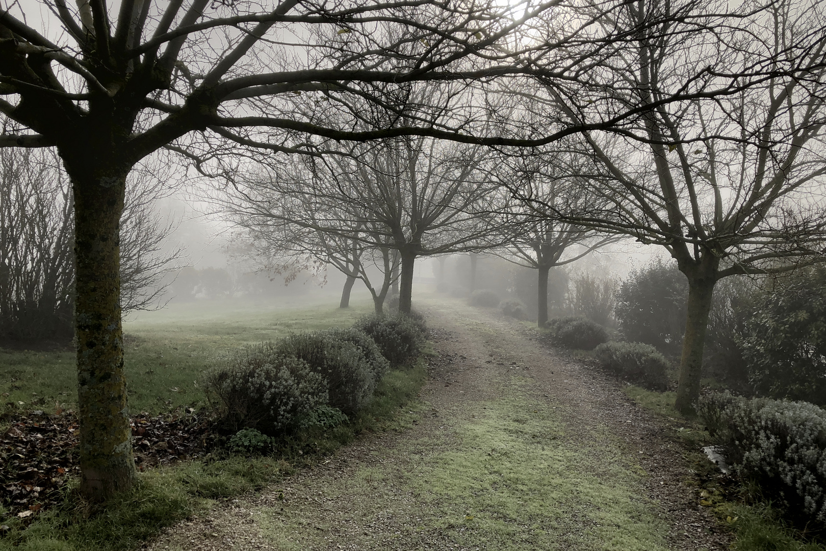 Herbst im Winter