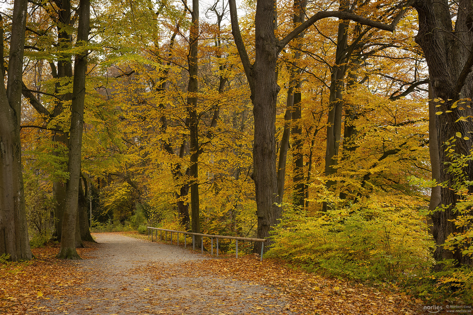 Herbst im Wittelsbacher Park