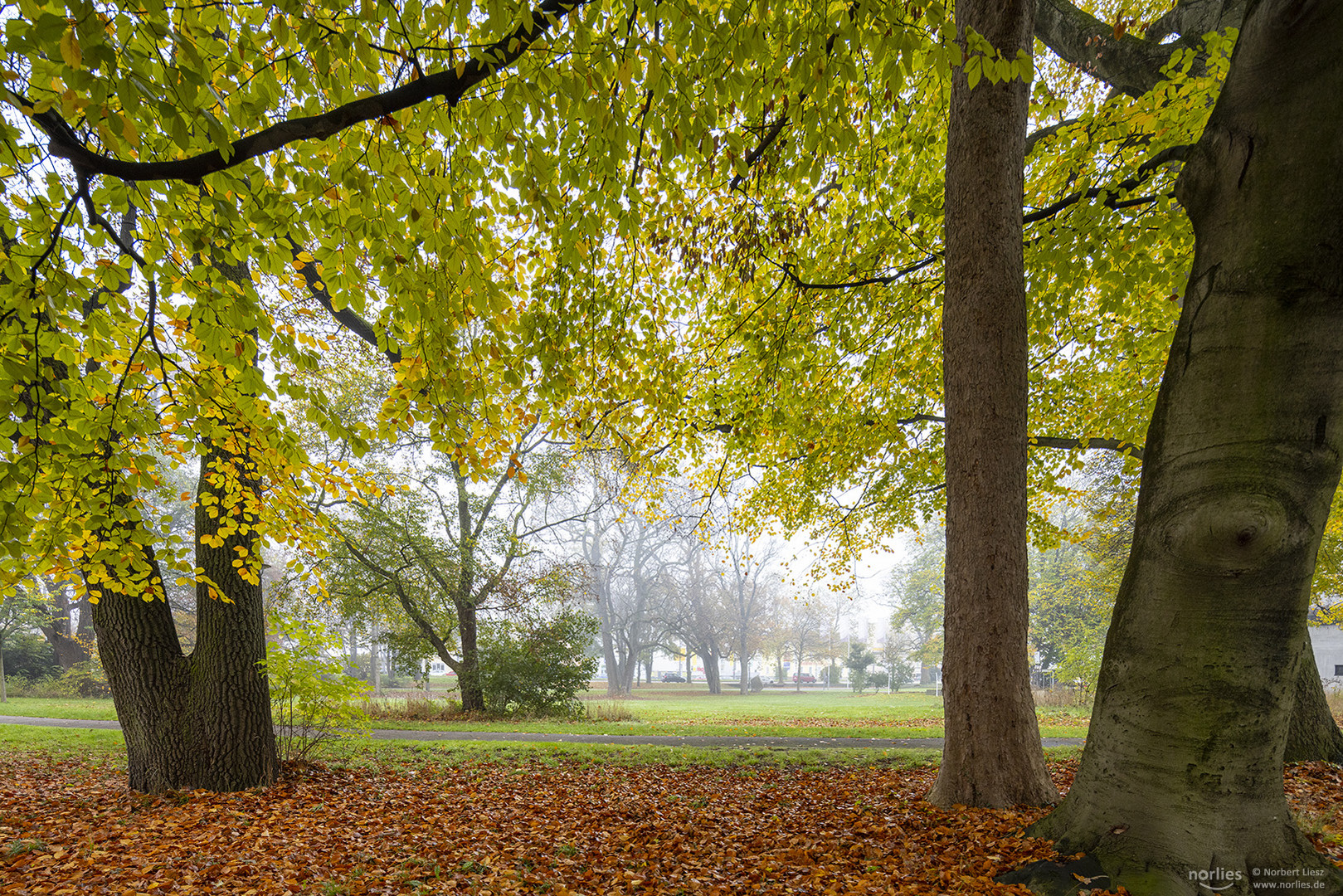 Herbst im Wittelsbacher Park