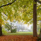 Herbst im Wittelsbacher Park