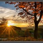 Herbst im Wittgensteiner Land