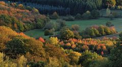 *Herbst im Wittlicher Land II*