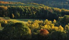 *Herbst im Wittlicher Land III*