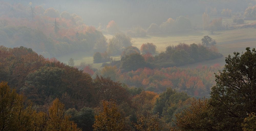 *Herbst im Wittlicher Land V*