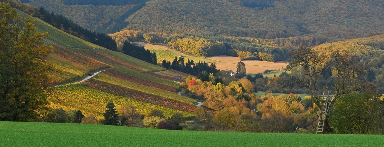 *Herbst im Wittlicher Tal*