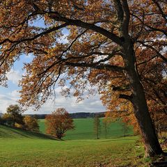 *Herbst im Wittlicher Tal*