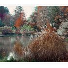 Herbst im Wörishofen