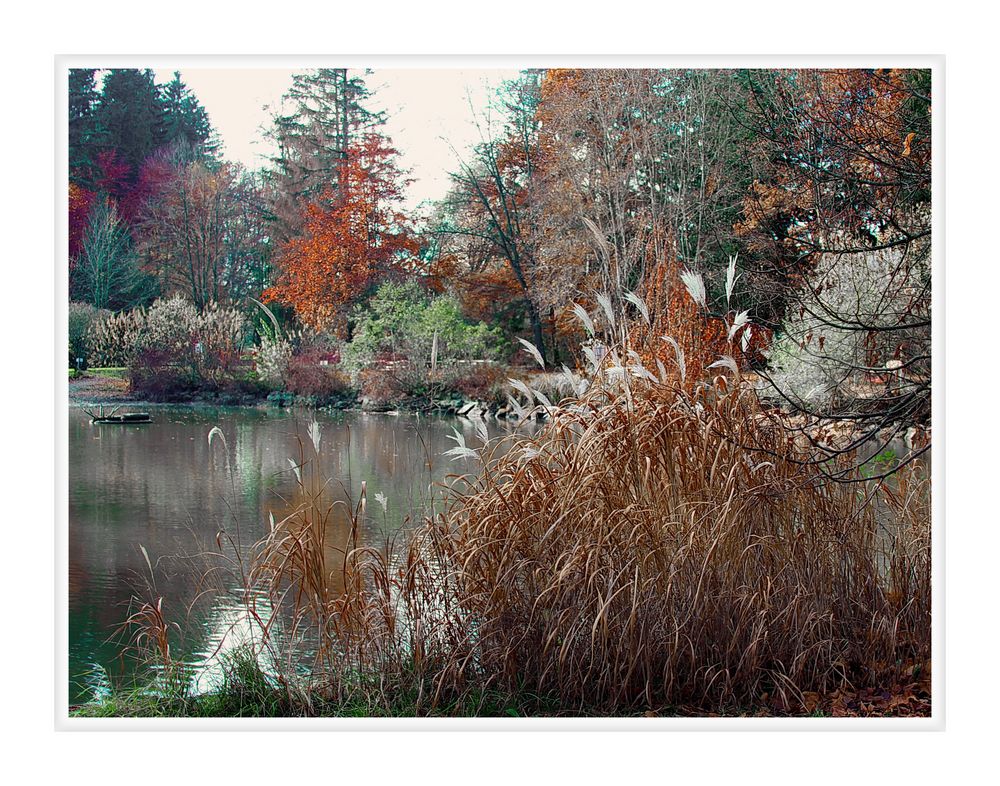 Herbst im Wörishofen