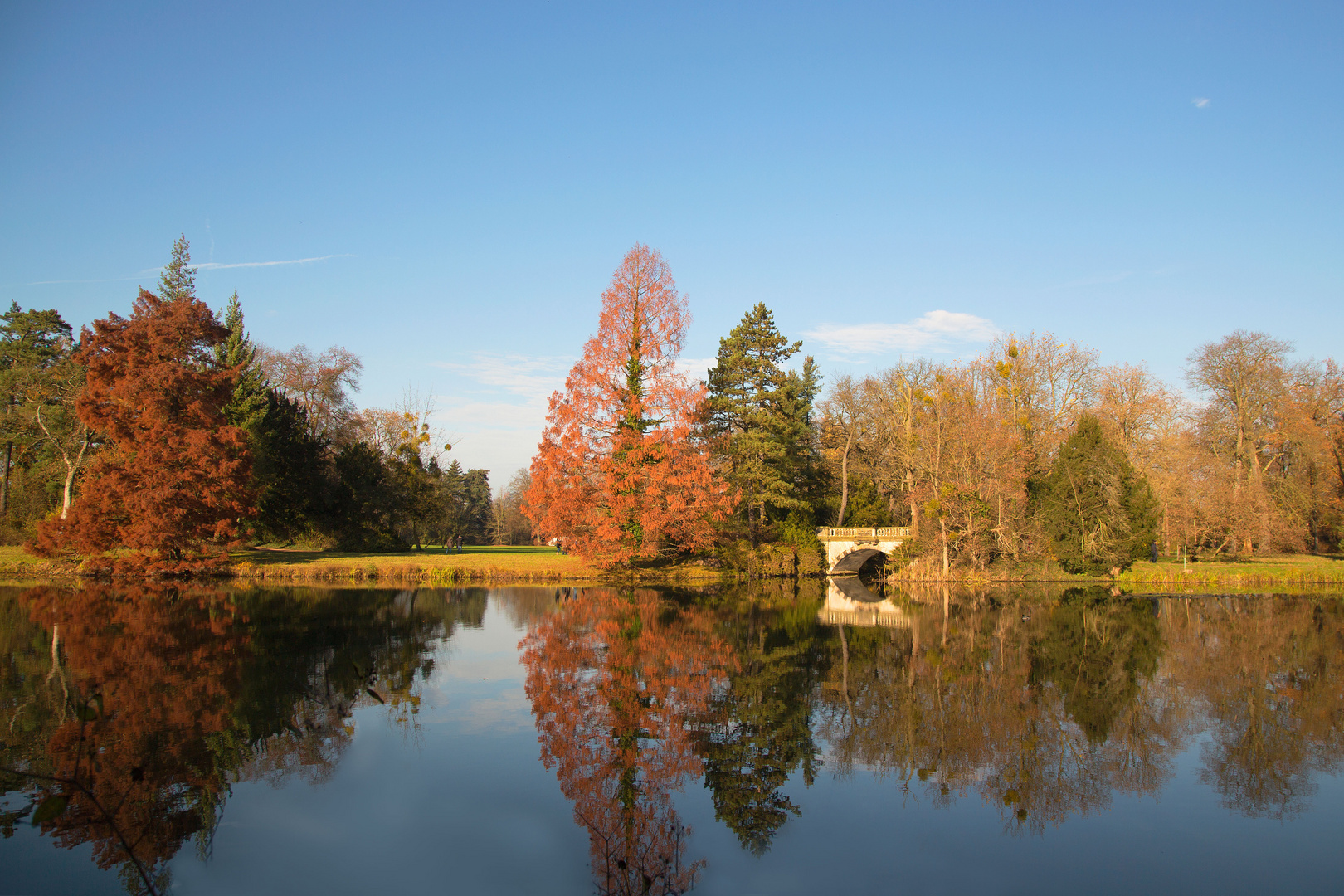Herbst im Wörlitzer Park