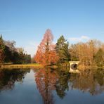 Herbst im Wörlitzer Park