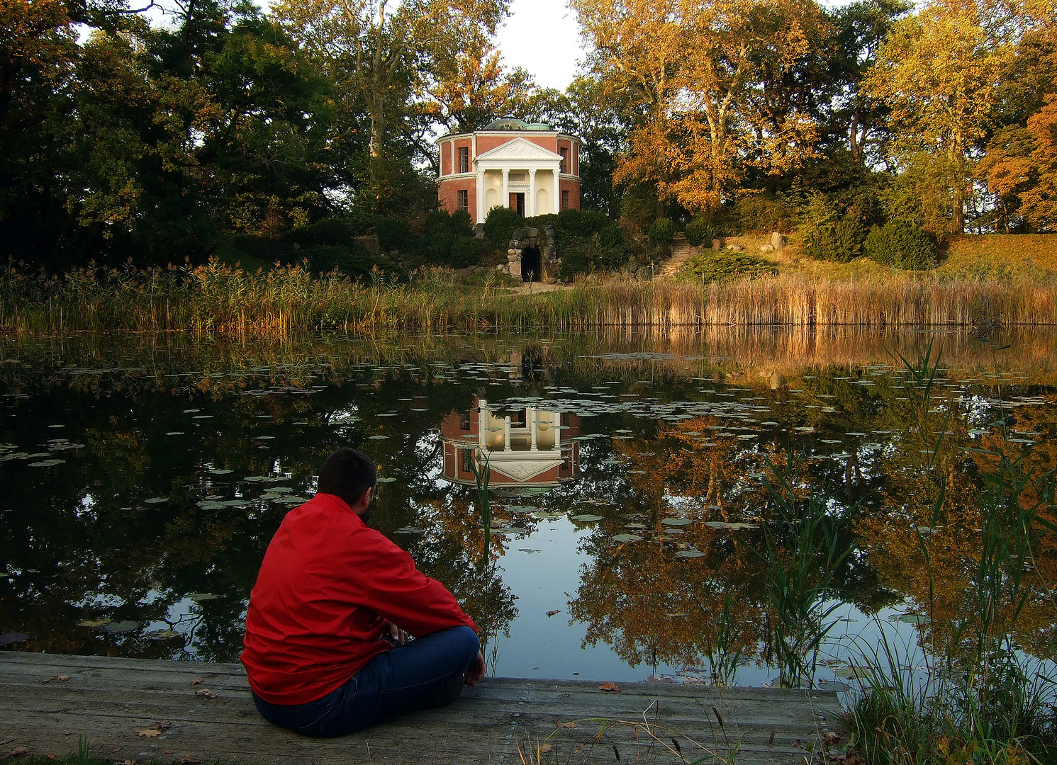 Herbst im Wörlitzer Park