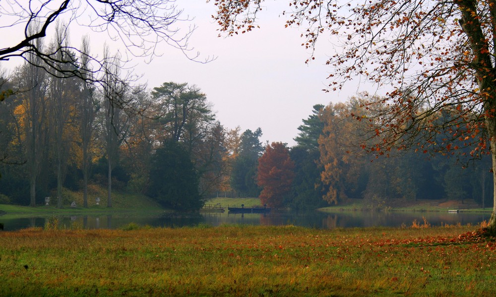 Herbst im Wörlitzer Park