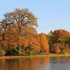 Herbst im Wörlitzer Park