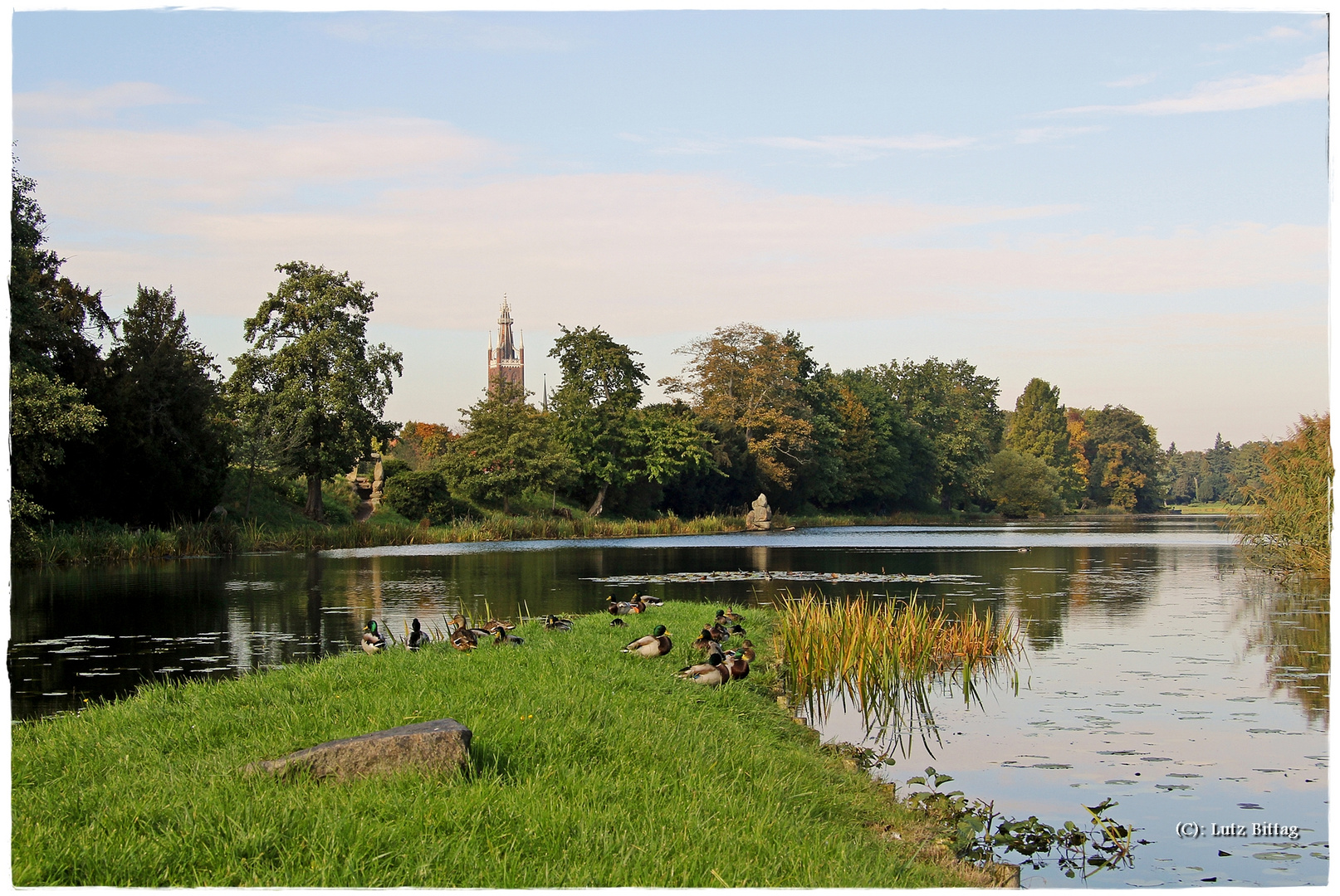 Herbst im Wörlitzer Park