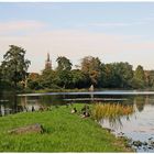 Herbst im Wörlitzer Park