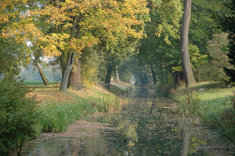 Herbst im Wörlitzer Park