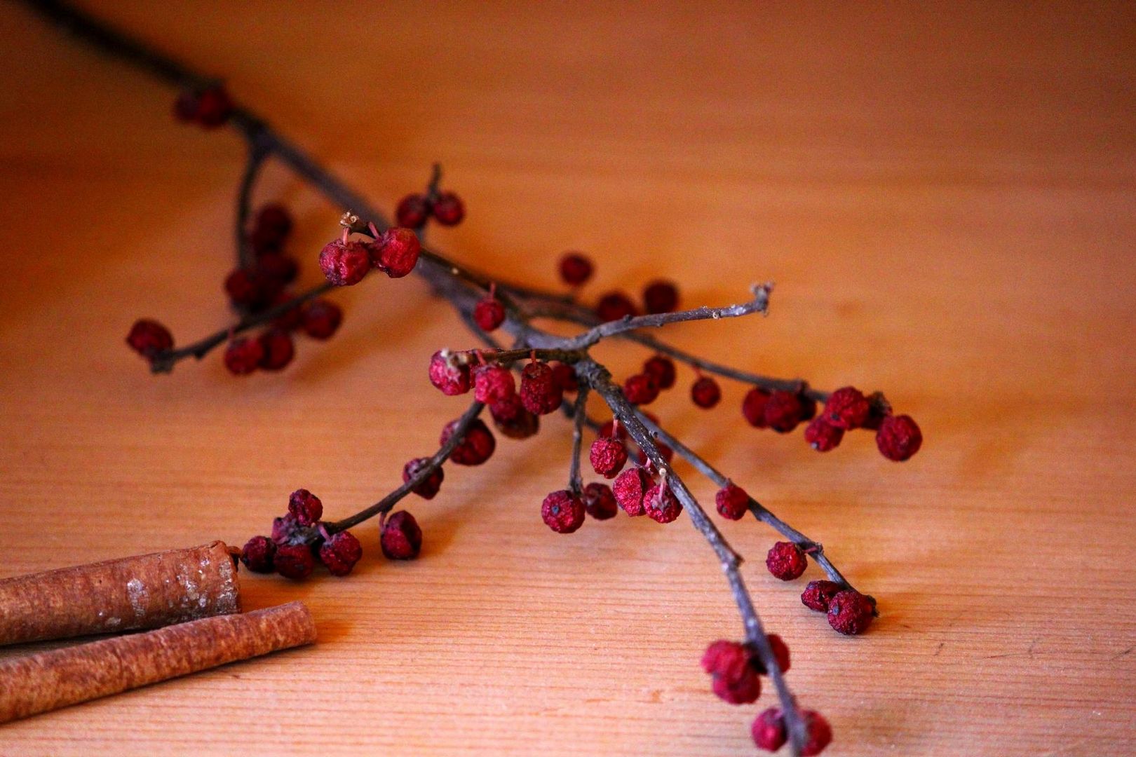 Herbst im Wohnzimmer .