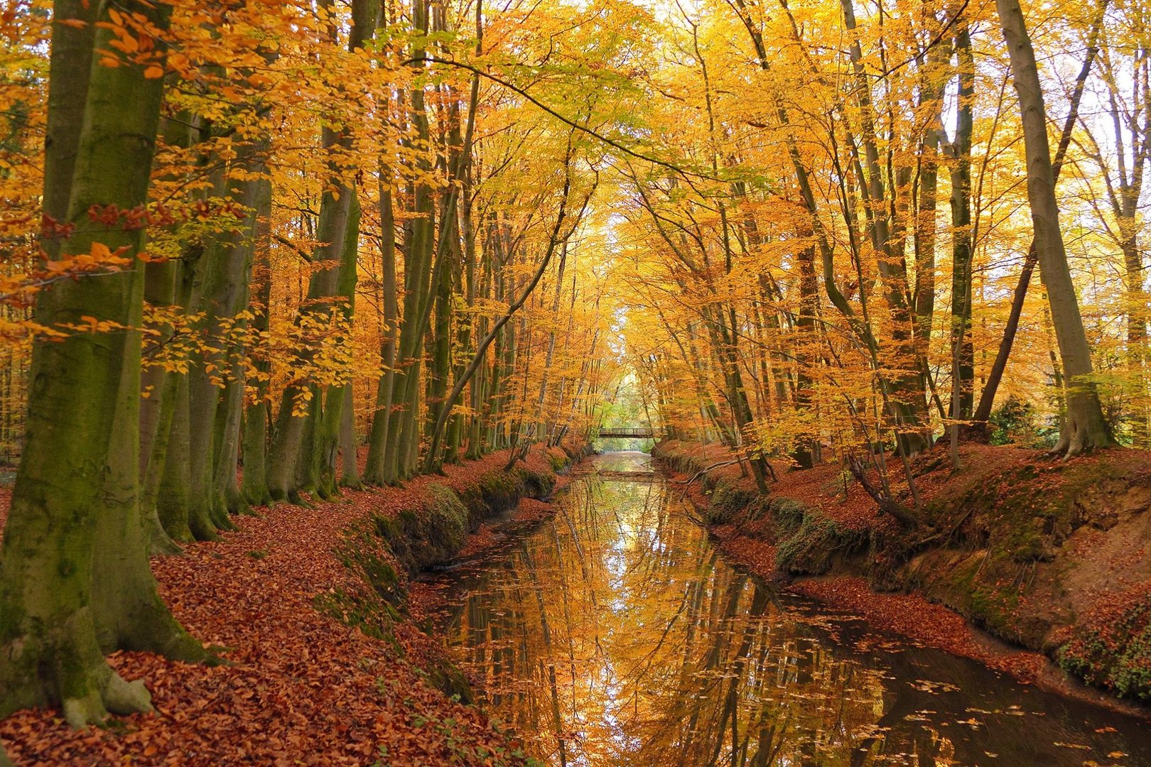 Herbst im Wolbecker Tiergarten