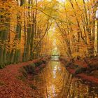 Herbst im Wolbecker Tiergarten