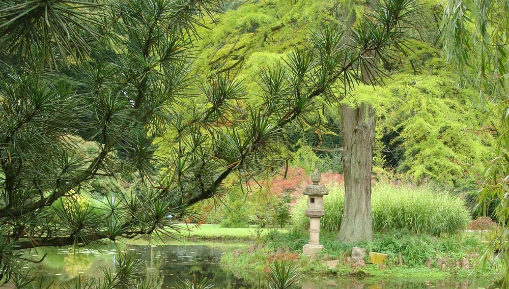 Herbst im Wolfsgarten