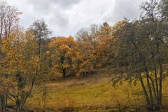 Herbst im Woogtal