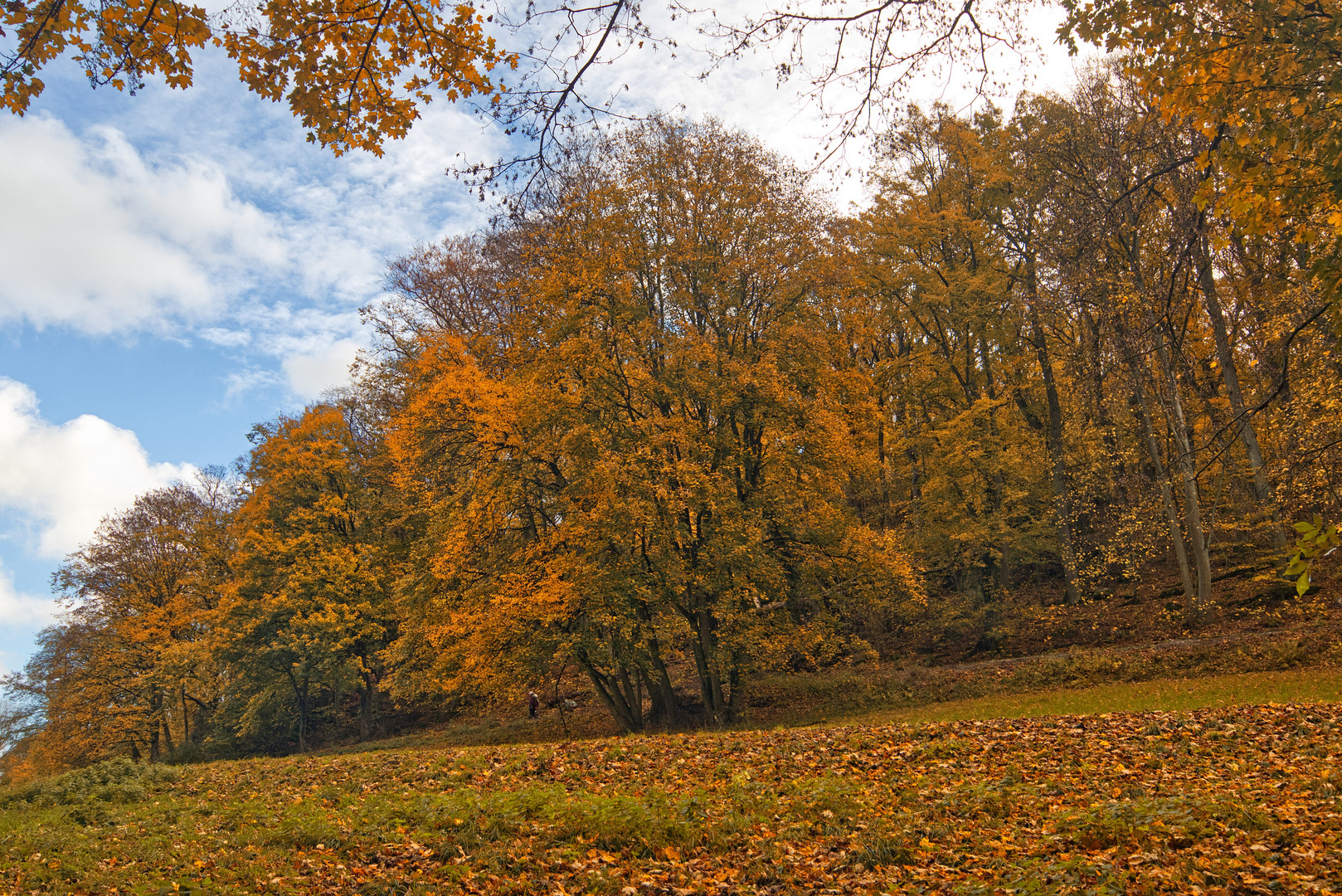 Herbst im Woogtal