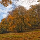 Herbst im Woogtal