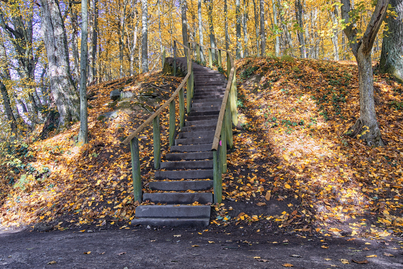 Herbst im Woogtal