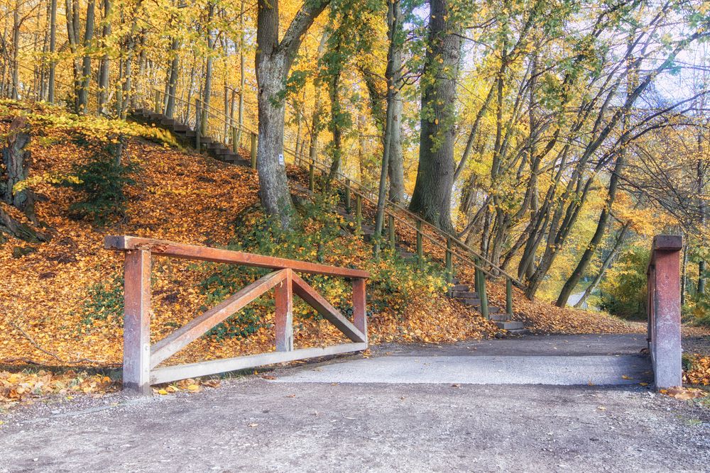 Herbst im Woogtal