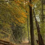 Herbst im Wurmtal