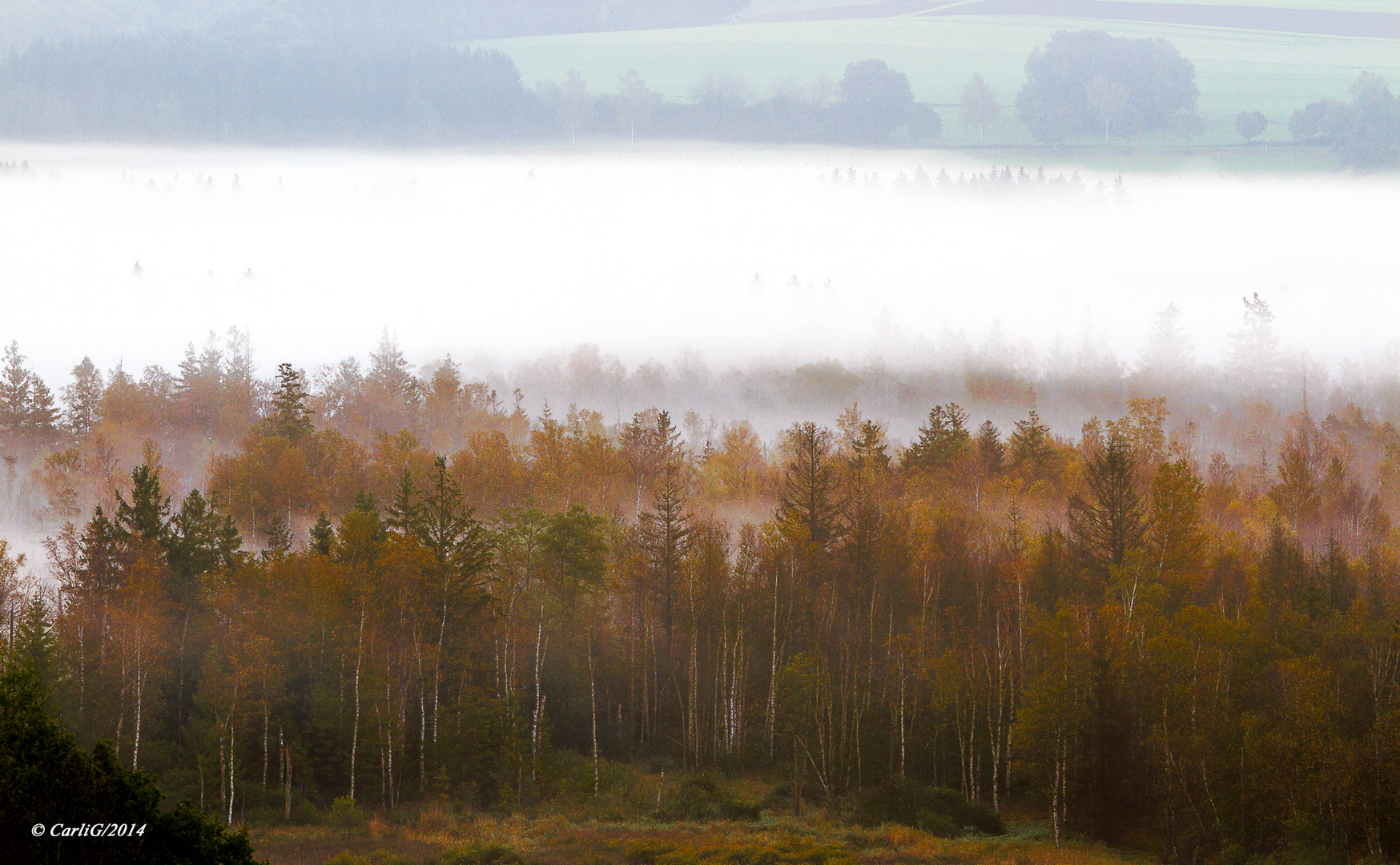 Herbst im Wurzacher Ried – 2