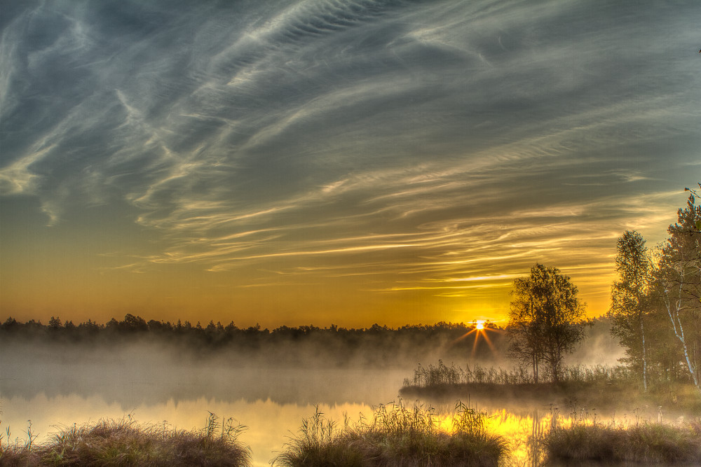 Herbst im Wurzacher Ried