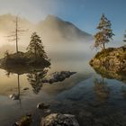 Herbst im Zauberwald