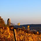 Herbst im Zellertal 