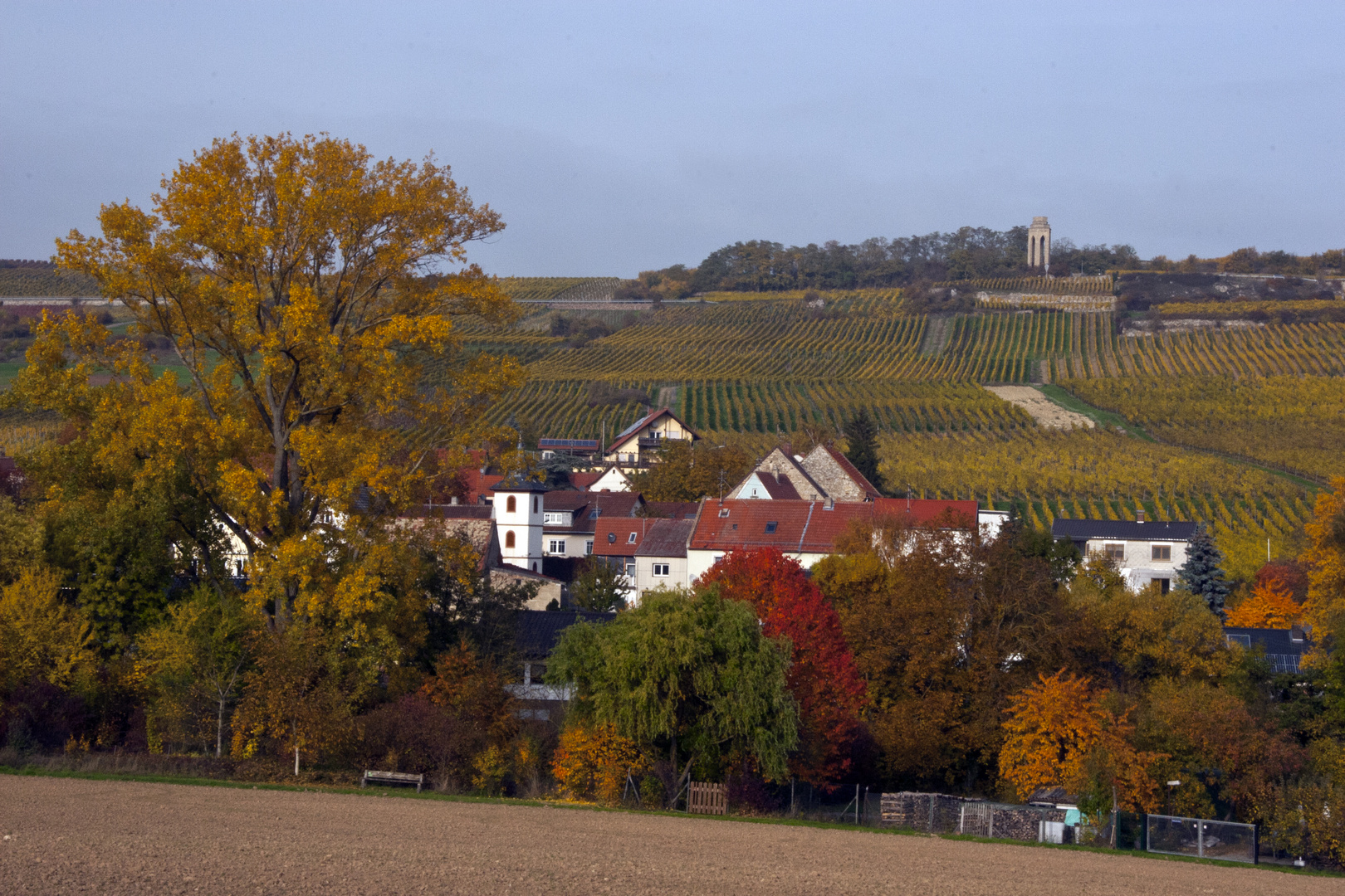 Herbst im Zellertal