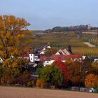 Herbst im Zellertal