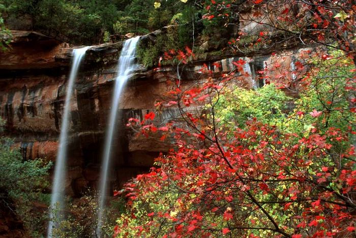 Herbst im Zion NP 03(USA)