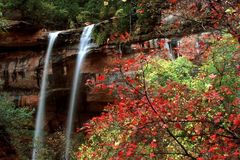 Herbst im Zion NP 03(USA)