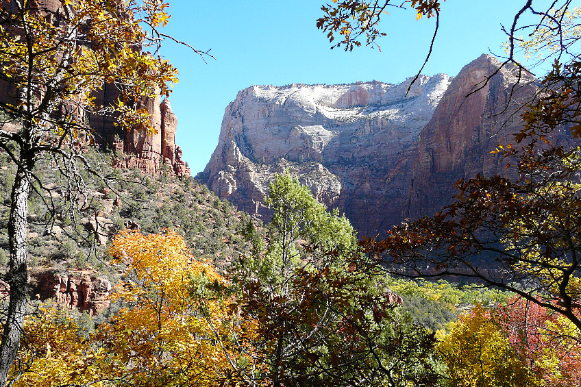 Herbst im Zion NP