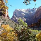 Herbst im Zion NP