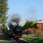 Herbst im Zittauer Gebirge