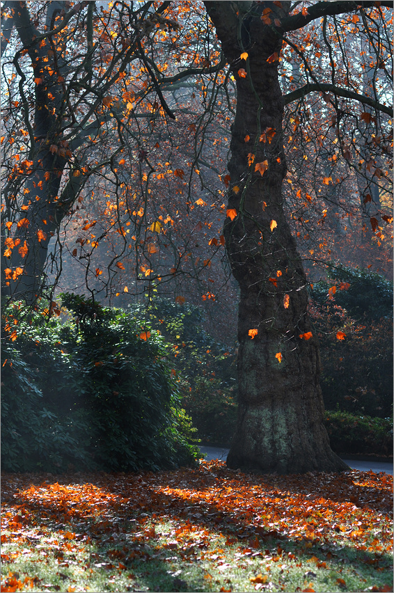 Herbst im Zoo