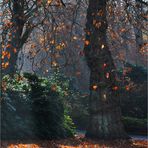 Herbst im Zoo